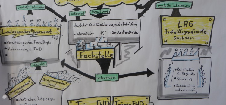 Organisationsstruktur des FSJ in Sachsen